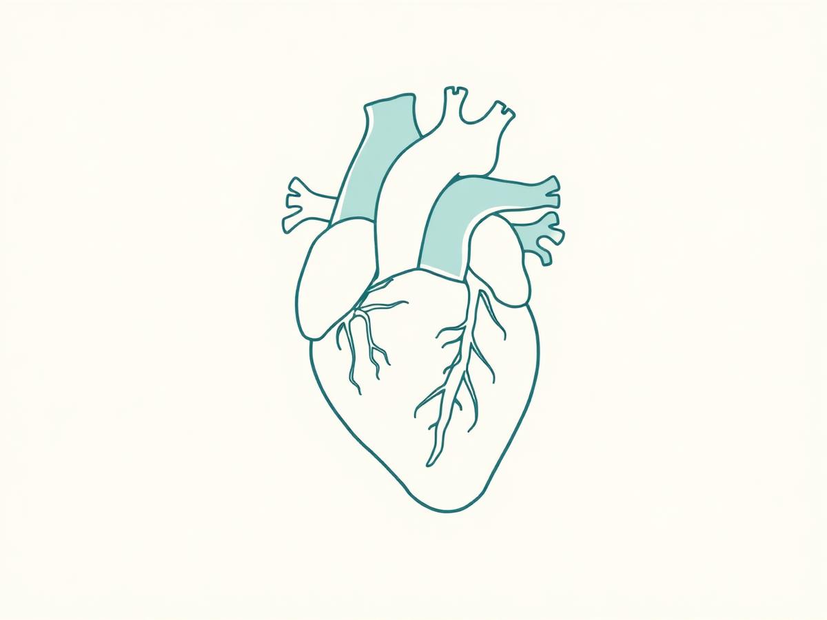 Healthy heart illustration